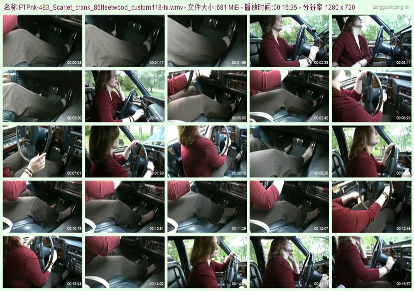 ptpnk-483_Scarlet_crank_86fleetwood_custom118